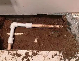 临颍测漏水哪家好