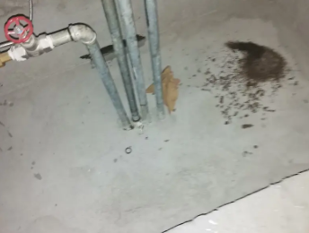 临颍卫生间测漏水价格明细