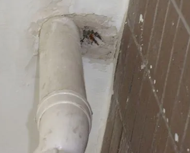 临颍漏水检测哪家好